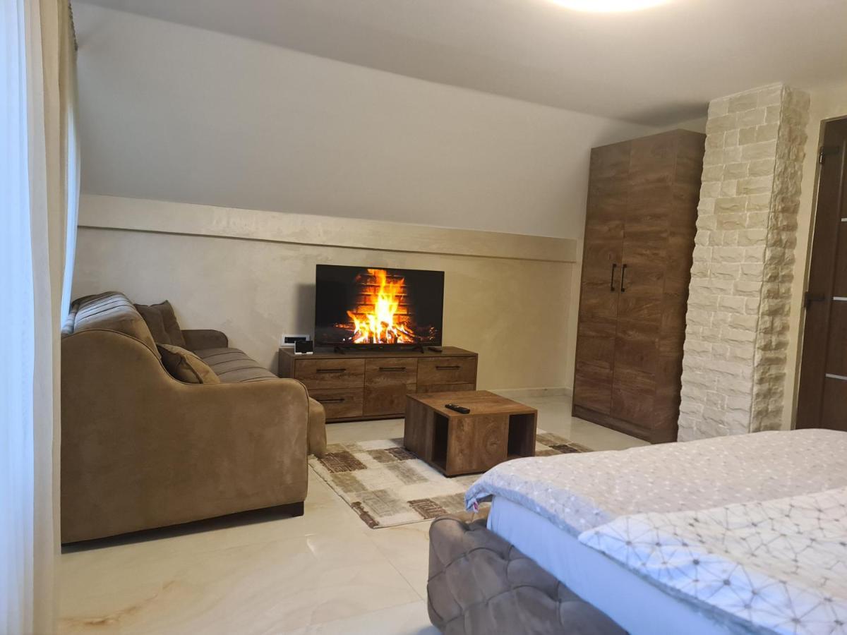 Vila Oaza Mira Draganici Raška 外观 照片